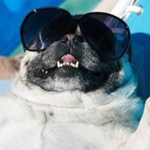 Meet your Posher, Cody